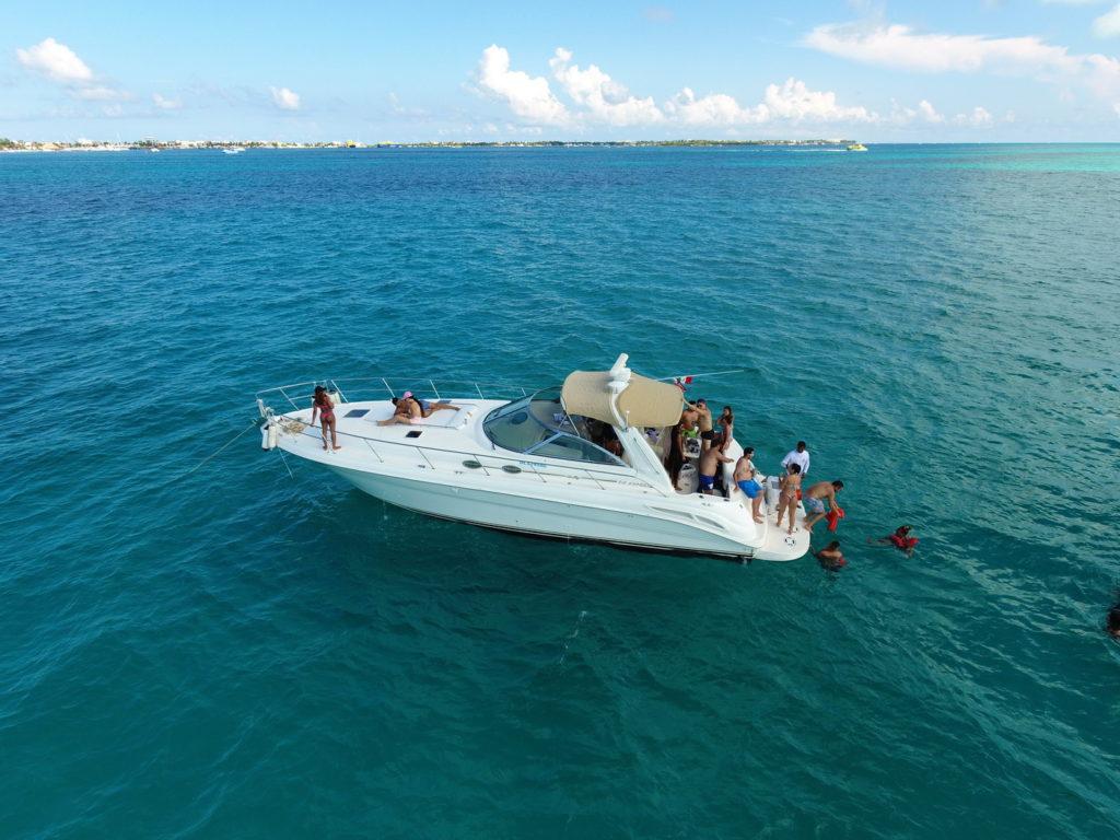 Yacht Searay