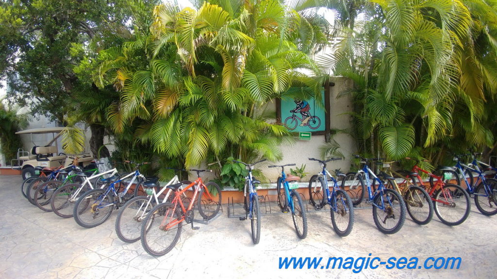 Bycicle at Beach Club Isla Mujeres