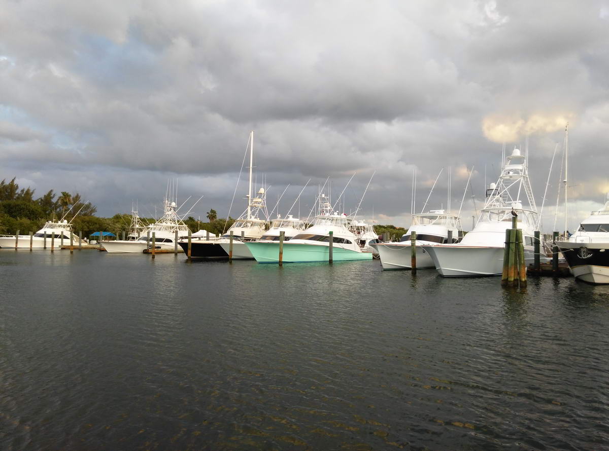 Marina at Isla Mujeres