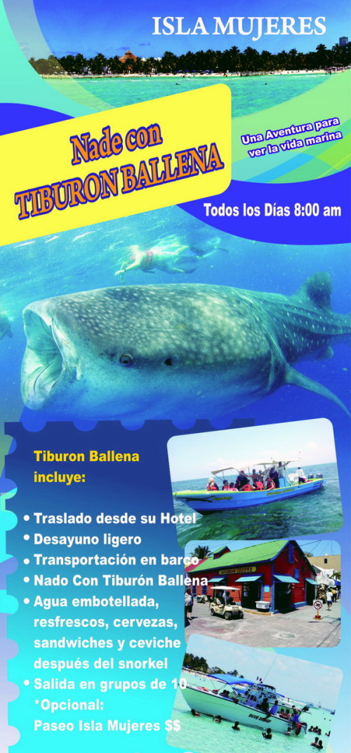 Whale Shrk reservations at Isla Mujeres